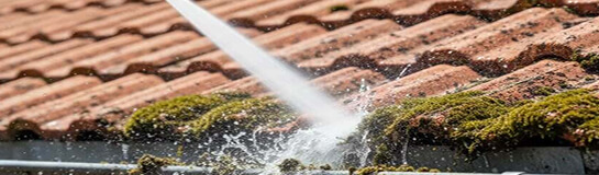 démoussage toiture orleans démoussage toiture orleans